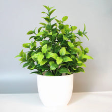 Load image into Gallery viewer, Artificial Potted Plant - Elegant Desktop Decor for Home and Office