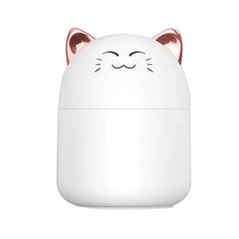 Load image into Gallery viewer, Cute Pet Mini Humidifier USB Desktop Air Conditioning Room Spray Heavy Fog