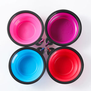 Collapsible Silicone Dog Bowl Portable Travel Camping Pet Food Water Bowl