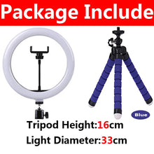 Load image into Gallery viewer, 10 inch LED Selfie Ring Light Dimmable Photography Fill Lamp with Mini tripod for Mobile Phone Live Video Photo Studio Ringlight