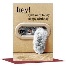 Load image into Gallery viewer, 1pc Cute Cat Birthday Card, Playful Kitty Paw Design,Happy Birthday Card with Envelope, Best Gift for Cat Lover, Family, Friends