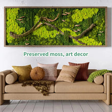 Load image into Gallery viewer, Artificial Green Plants Eternal Life Moss DIY Crafts Grass Garden Home Room Decor Mini Landscape Fake Grass 20/40/100g