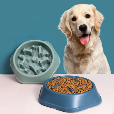 Pet Food Puzzle Bowl! Slow Eat, Enrichment, Dog/Puppy