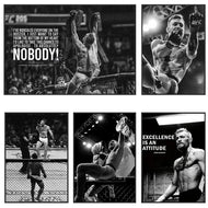 Professional Motivational Boxer, HD Canvas Print Wall Art Poster, Suitable for, Home, Room, Living Room, Gym Decoration