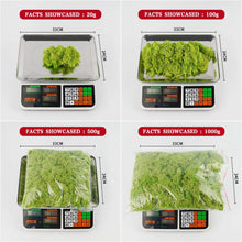 Load image into Gallery viewer, Artificial Green Plants Eternal Life Moss DIY Crafts Grass Garden Home Room Decor Mini Landscape Fake Grass 20/40/100g