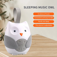 Load image into Gallery viewer, Cartoon Owl Music Pacifier Bed Hanging Children&#39;s Toy Timer Mode Player