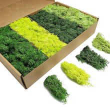 Load image into Gallery viewer, Artificial Green Plants Eternal Life Moss DIY Crafts Grass Garden Home Room Decor Mini Landscape Fake Grass 20/40/100g