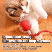 Load image into Gallery viewer, 1PC Smart Cat Toys Automatic Rolling Ball Fake Tail Rechargeable Electric Pet Interactive Toy Cat Training Imitate Mouse Tail 1P