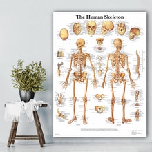 Load image into Gallery viewer, Science Wall Art Muscle System Human Anatomy Diagram Medical Education Supplies HD Oil On Canvas Posters And Prints Home Decor