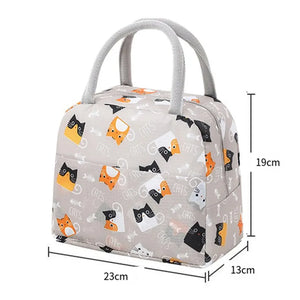 Kids Cartoon Lunch Bag - Insulated Thermal Bento Box Tote for School Picnic