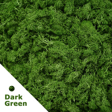 Load image into Gallery viewer, Artificial Green Plants Eternal Life Moss DIY Crafts Grass Garden Home Room Decor Mini Landscape Fake Grass 20/40/100g