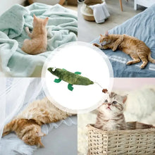 Load image into Gallery viewer, Cat toys, with super soft wrinkled sounds, pet chewing toys, indoor toys for cats' teething interaction