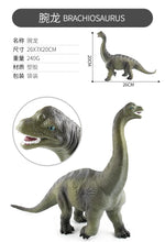 Load image into Gallery viewer, High Quality PVC Jurassic Dinosaur Action Figures – T-Rex &amp; Brachiosaurus Toy Model for Kids