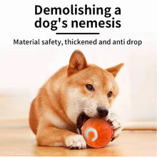 Load image into Gallery viewer, Hot Intelligent pet toy ball electronic pet interactive toy moving ball USB puppy automatic moving bounce gift cat products.