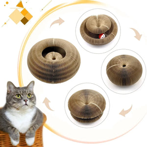 Magic Cat Scratch Organ Board - Interactive Cat Toy with Ball, Climbing Frame Scratcher