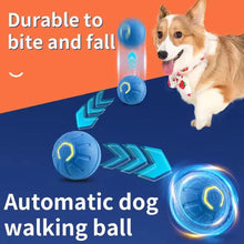 Load image into Gallery viewer, Hot Intelligent pet toy ball electronic pet interactive toy moving ball USB puppy automatic moving bounce gift cat products.