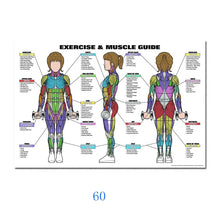 Load image into Gallery viewer, Science Wall Art Muscle System Human Anatomy Diagram Medical Education Supplies HD Oil On Canvas Posters And Prints Home Decor