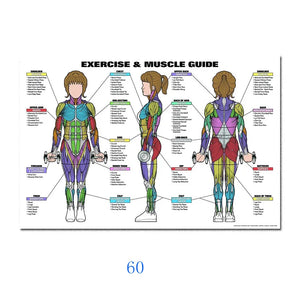 Science Wall Art Muscle System Human Anatomy Diagram Medical Education Supplies HD Oil On Canvas Posters And Prints Home Decor