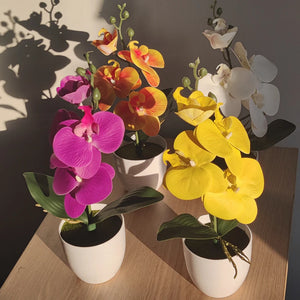 Artificial Butterfly Orchid Bonsai - Potted Plant for Home, Office & Wedding Décor