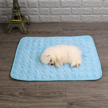 Load image into Gallery viewer, Pet Summer Cooling Ice Mat Breathable Dog Bed Cat Cooling Pad Pet Supplies