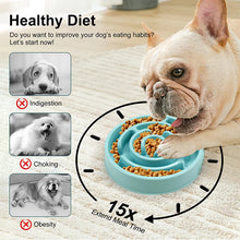 Load image into Gallery viewer, Slow Food Bowl for Pets Anti-Choking Durable Feeder Cat Dog Easy Clean Dish