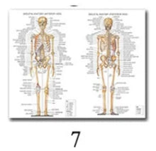Load image into Gallery viewer, Science Wall Art Muscle System Human Anatomy Diagram Medical Education Supplies HD Oil On Canvas Posters And Prints Home Decor